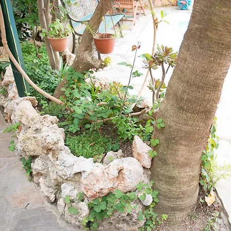 Gasthof Anik Alanya